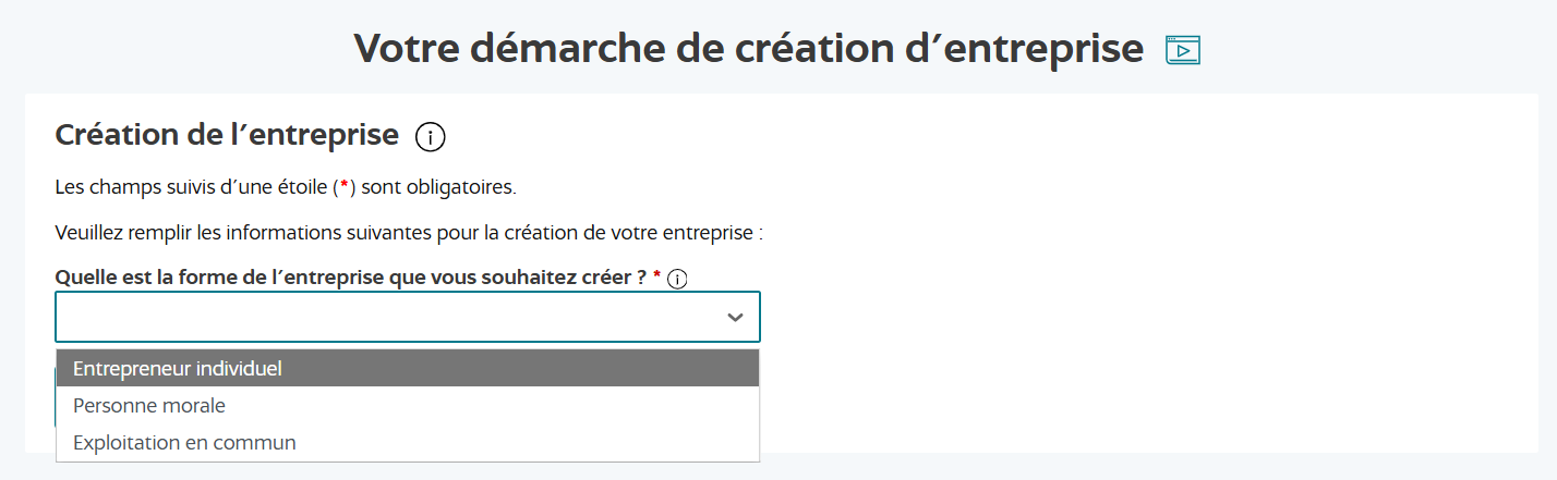 Sélecteur de la forme de l'entreprise, Entrepreneur individuel