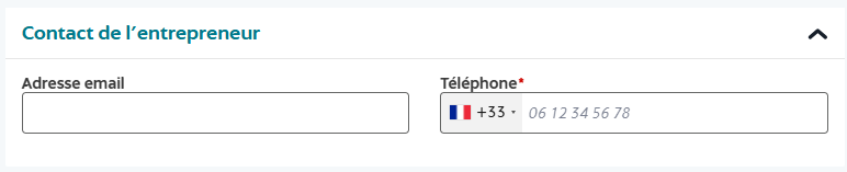 Champs email et téléphone de l'entrepreneur